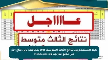 رابط الاستعلام عن نتائج الثالث المتوسط 2025 بمحافظة بابل متاح الآن على موقع نتائجنا وmoedu.gov.iq